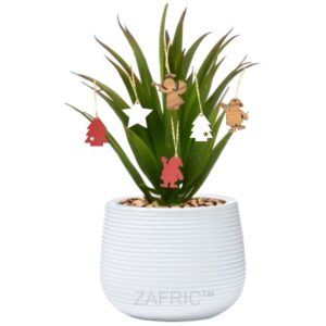 Pot Plant Ornaments