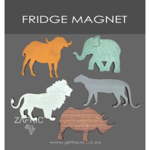 Magnet Big 5 Colours Orange/Aqua