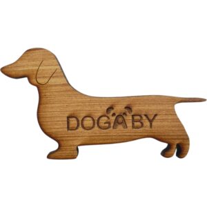 Custom Shaped Magnets